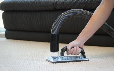 Pet Urine & Odor Removal in Phoenix: Why Smells Return