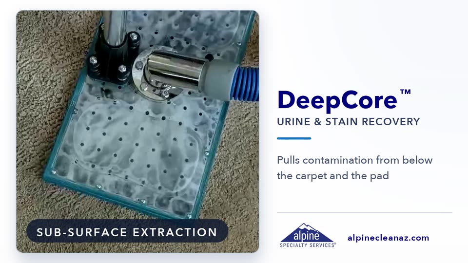 DeepCore Urine and Stain Recovery